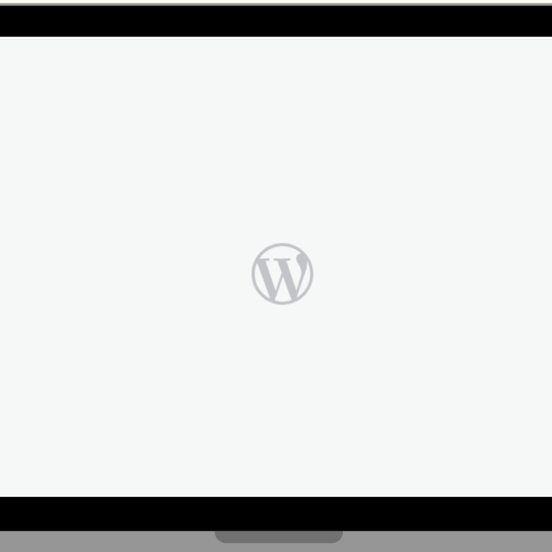 WordPress for NGOs: Strengths, Limitations and&nbsp;Pricing